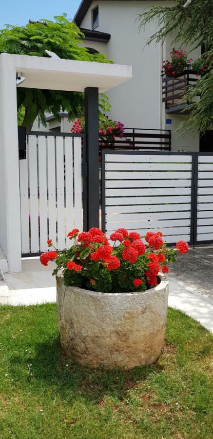 Fiori Apartment Umago Esterno foto