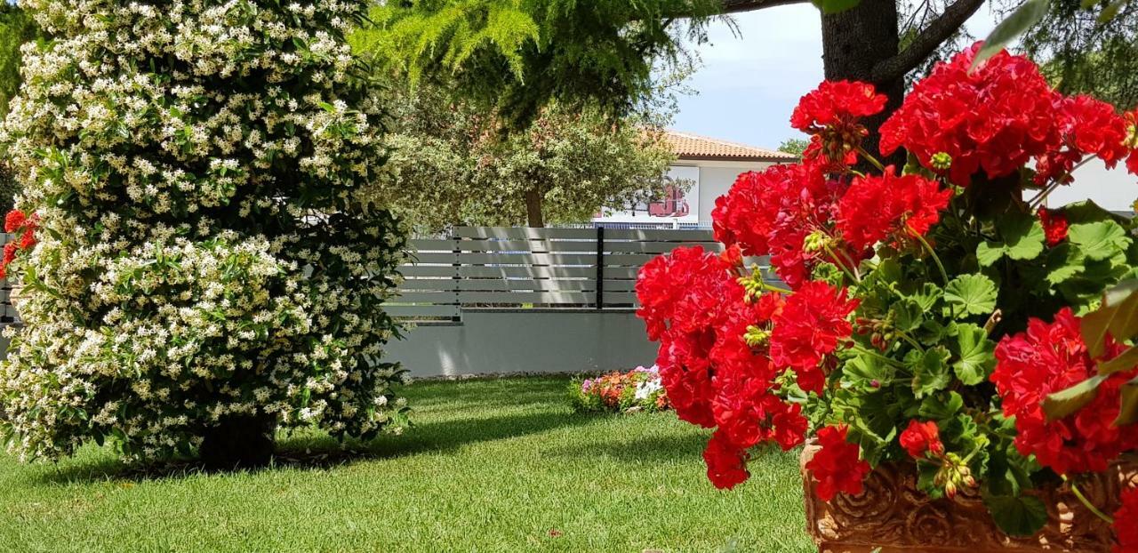 Fiori Apartment Umago Esterno foto